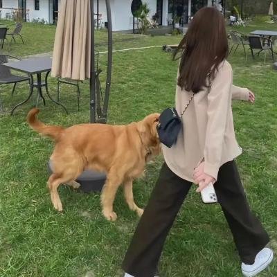 盲人枪手